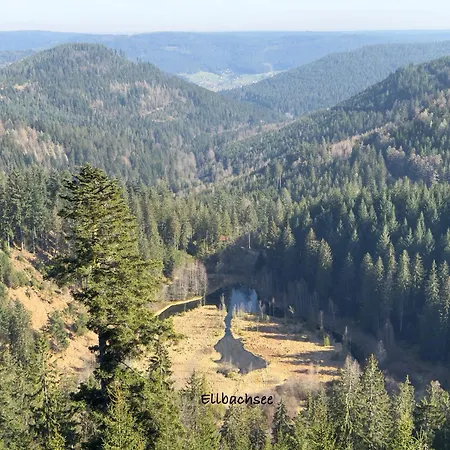 3 - Raumappartement 60 Qm Dieter Hoffmann Freudenstadt-kniebis Beim Nationalpark * 弗罗伊登施塔特