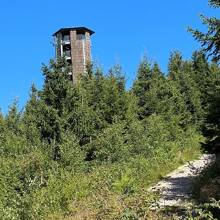 3 - Raumappartement 60 Qm Dieter Hoffmann Freudenstadt-kniebis Beim Nationalpark شقة *