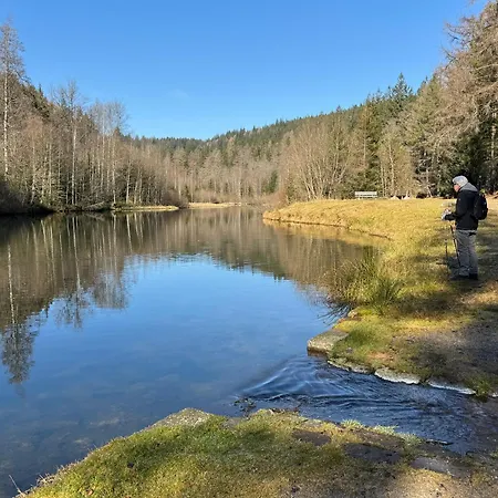 3 - Raumappartement 60 Qm Dieter Hoffmann Freudenstadt-kniebis Beim Nationalpark