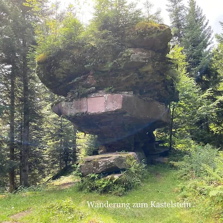 公寓 3 - Raumappartement 60 Qm Dieter Hoffmann Freudenstadt-kniebis Beim Nationalpark