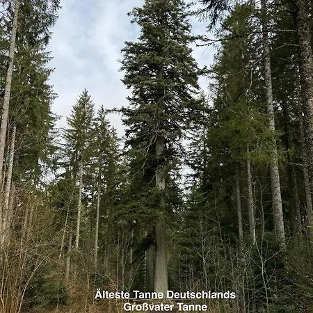 3 - Raumappartement 60 Qm Dieter Hoffmann Freudenstadt-kniebis Beim Nationalpark Apartamento Freudenstadt