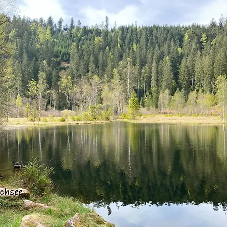 Apartamento 3 - Raumappartement 60 Qm Dieter Hoffmann Freudenstadt-kniebis Beim Nationalpark Freudenstadt