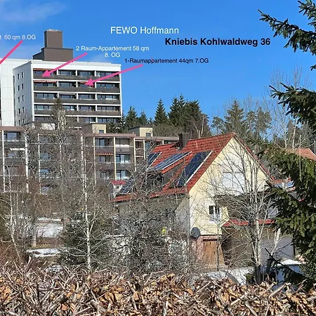3 - Raumappartement 60 Qm Dieter Hoffmann Freudenstadt-kniebis Beim Nationalpark * Freudenstadt